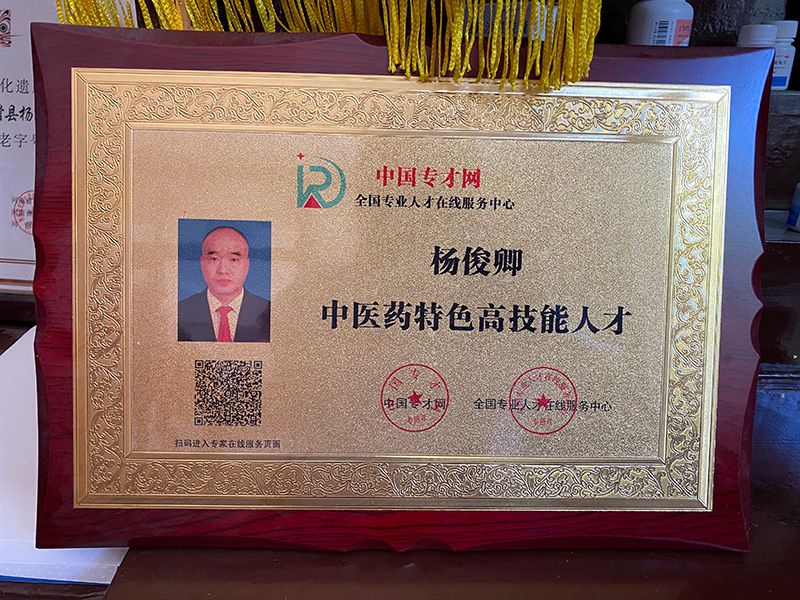 中医药特色高技能人才